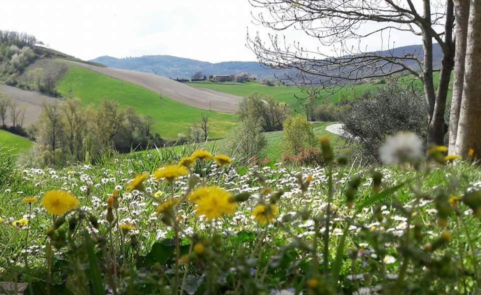Agriturismo Il Colore Del Grano San Vittore  Eksteriør bilde