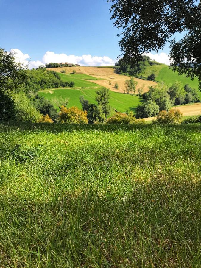 Agriturismo Il Colore Del Grano San Vittore  Eksteriør bilde